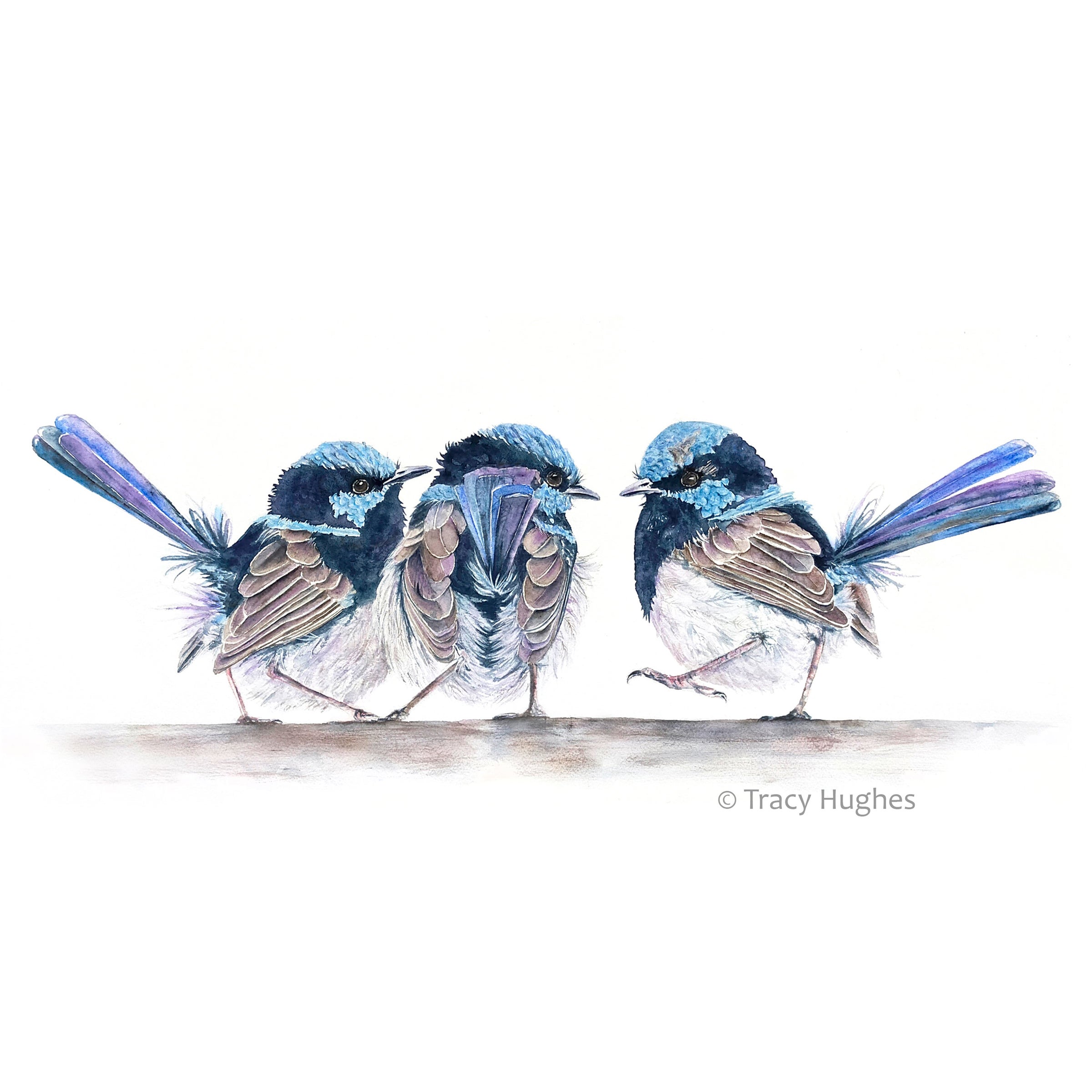 Lot De 3 Dé à Coudre En Porcelaine Oiseaux Fairy Wrens - Peints à La Main - Australie - Occasion